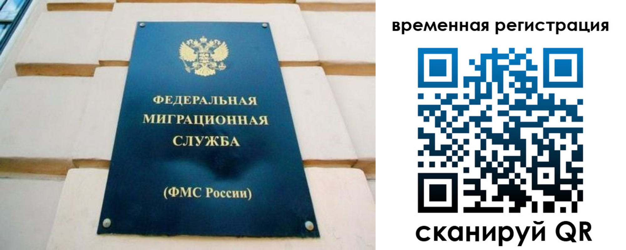 прописка гарантия в Владимирской области